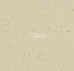 Линолеум Forbo Marmoleum Decibel on Order 358435 white chocolate фото 1 | FLOORDEALER